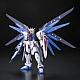 Gundam SEED RG 1/144 ZGMF-X10A Freedom Gundam gallery thumbnail