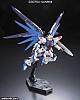 Gundam SEED RG 1/144 ZGMF-X10A Freedom Gundam gallery thumbnail