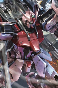 Gundam SEED MG 1/100 MBF-02 + EW454F Strike Rouge + Ohtori Ver. RM
