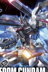 Gundam SEED HG 1/144 ZGMF-X10A Freedom Gundam