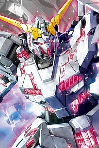 Bandai Gundam Unicorn MG 1/100 RX-0 Unicorn Gudam Twin Frame Edition Titanium Finish