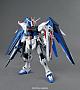 Gundam SEED MG 1/100 ZGMF-X10A Freedom Gundam Ver.2.0 & Kira Yamato Dramatic Combination gallery thumbnail