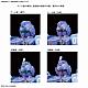 Video Games HGUC 1/144 RX-79BD-1 Blue Destiny Unit 1 "EXAM" gallery thumbnail