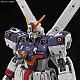 Crossbone Gundam RG 1/144 XM-X1 Crossbone Gundam X1 gallery thumbnail