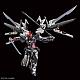 Gundam SEED Hi-Resolution Model 1/100 MBF-P0X Gundam Astray Noir gallery thumbnail