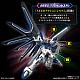 Gundam SEED HG 1/144 STTS-909 Rising Freedom Gundam gallery thumbnail