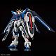 Gundam SEED HG 1/144 STTS-909 Rising Freedom Gundam gallery thumbnail