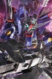 Gundam SEED HG 1/144 ZGMF/A-42S2 Destiny Gundam SpecII & A-GXQ754/V2 Zeus Silhouette