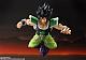 BANDAI SPIRITS S.H.Figuarts Broly -Chou- gallery thumbnail