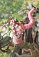 KOTOBUKIYA ARCANADEA Meltina Plastic Kit gallery thumbnail