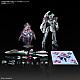 BANDAI SPIRITS HG VF-31S Siegfried (Arad Moelders Unit) Deluxe Set 1/100 Plastic Kit gallery thumbnail