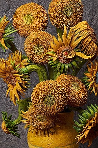 FREEing Table Museum figma Gogh-saku Himawari FREEing Table Museum figma Gogh-saku Himawari