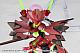 KOTOBUKIYA M.S.G Modeling Support Goods Mecha Supply 37 Expansion Armor E Deep Red Ver. Plastic Kit gallery thumbnail