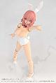 KOTOBUKIYA Frame Arms Girl Durga I Bunny Style -White- Plastic Kit gallery thumbnail